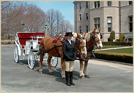 horse drawn carriage